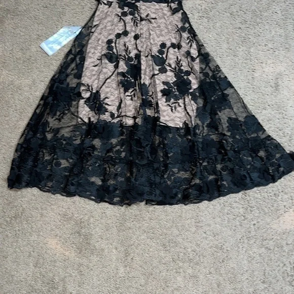 Dress the Population Audrey‎ Sheer Floral Overlay A-Line Sleeveless V-Neck XS
